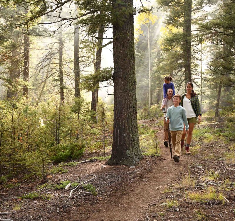 The Wilderness Experiences